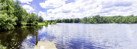 View of lake from boardwalk
