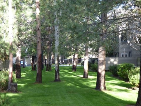 The green space in the back yard is perfect for family games or gatherings.