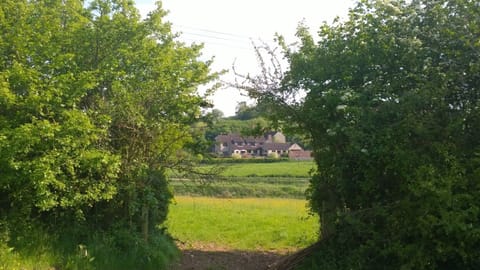 A view of Cameley lodge from the Lime Stone Link