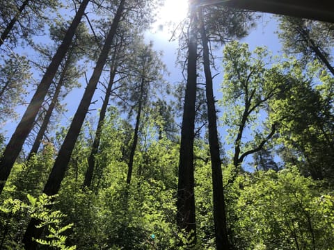Our view from the porch