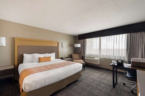 Suite, 1 King Bed, Non Smoking, Kitchenette (Larger Room) | Hypo-allergenic bedding, desk, laptop workspace, blackout drapes