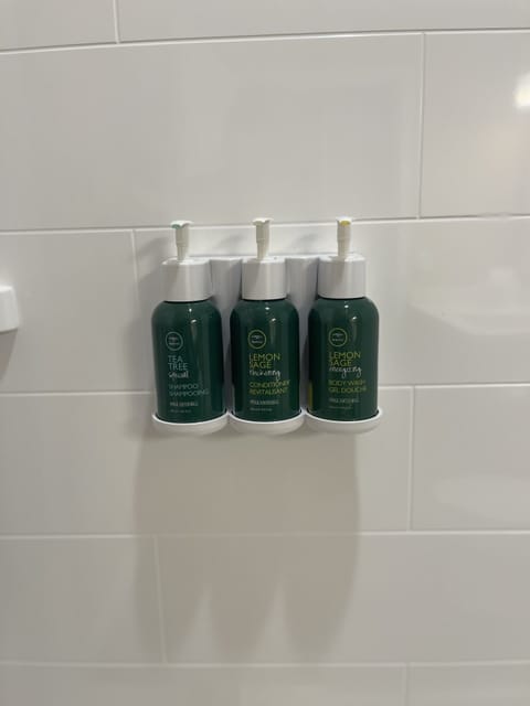 Shower, free toiletries, hair dryer, towels