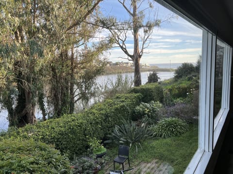 Actual view from the living room