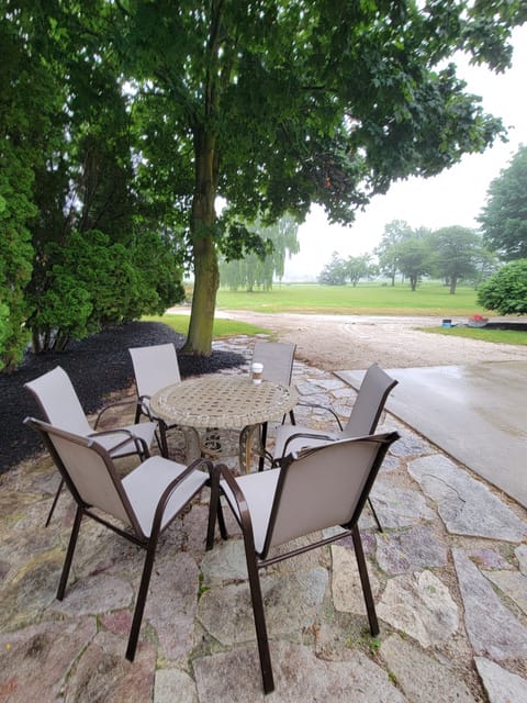 Patio space by garage for guests to use along with propane grill.