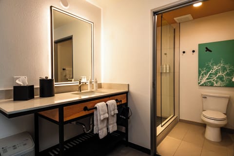 Combined shower/tub, free toiletries, hair dryer, towels