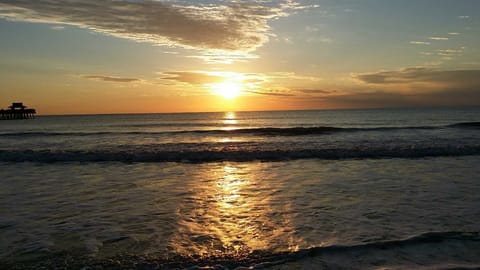 Naples Pier beach for a beautiful sunset. 20 to 30 minutes to several beaches