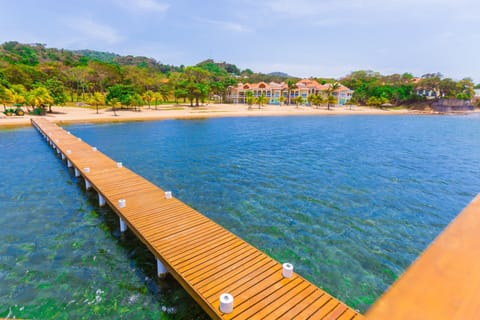 Studio | Beach | Beach nearby