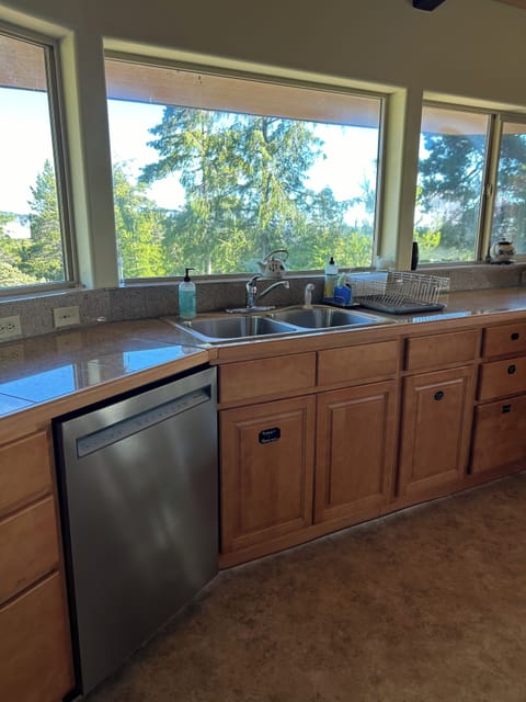 Dishwasher in kitchen