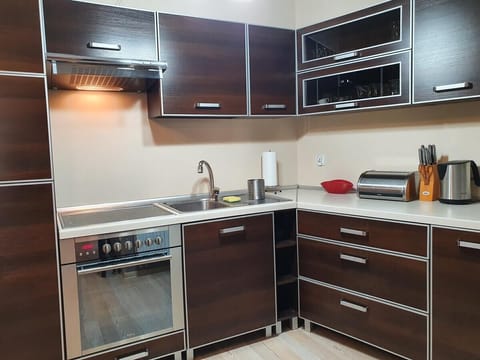 Apartment | Private kitchen | Fridge, microwave, oven, stovetop