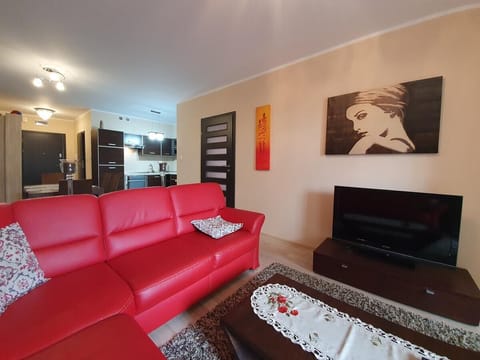 Apartment | Living area | Flat-screen TV