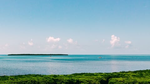 Breathtaking Views