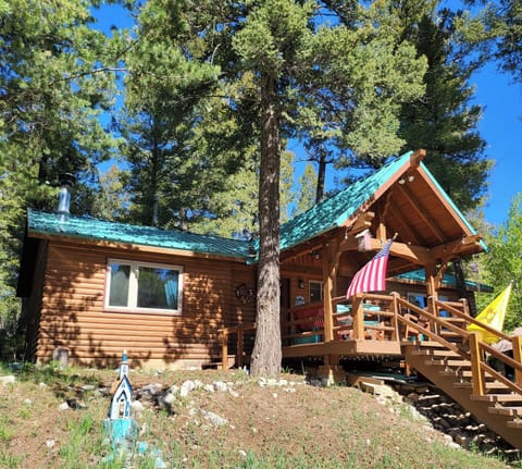 New turquoise roof, cabin in Spring/Summer