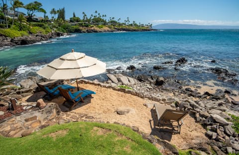 Welcome to Paradise Cove!