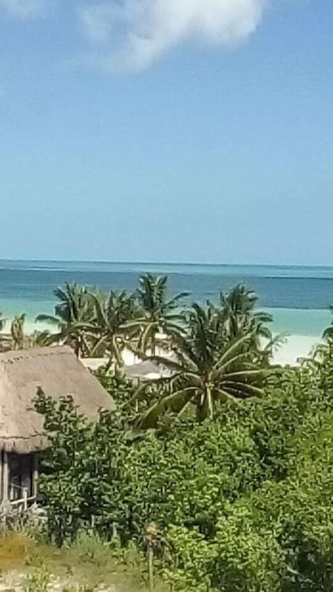 Panoramic Room | Beach/ocean view