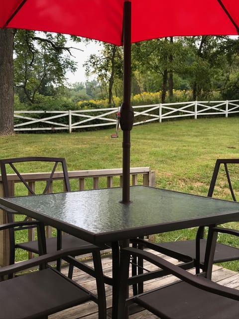 Early Morning Coffee Overlooking the Woods