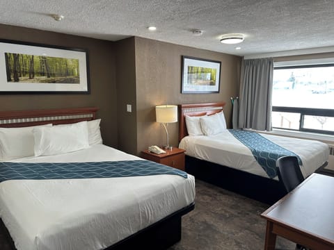 Desk, laptop workspace, free WiFi, bed sheets