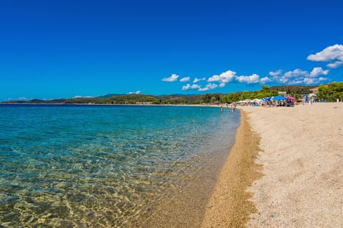 On the beach, beach bar
