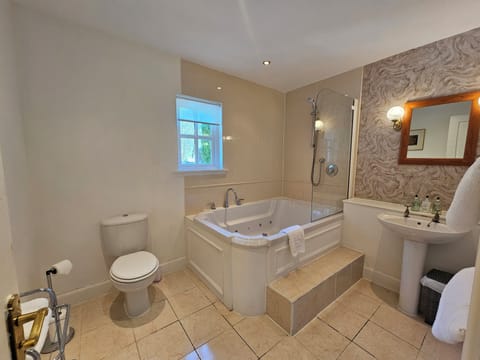 Suite Room | Bathroom | Hair dryer, towels