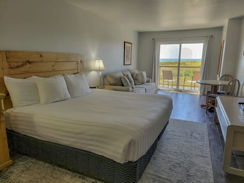 Premium Room | Desk, laptop workspace, blackout drapes, free WiFi