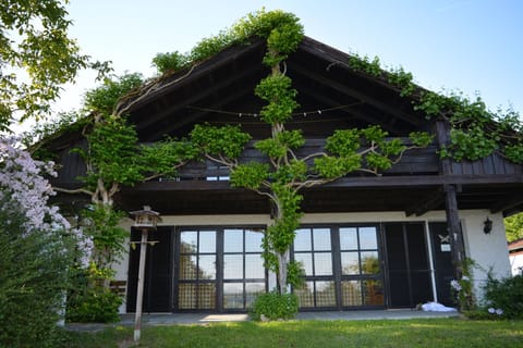 House, 3 Bedrooms (Gudrun) | Terrace/patio