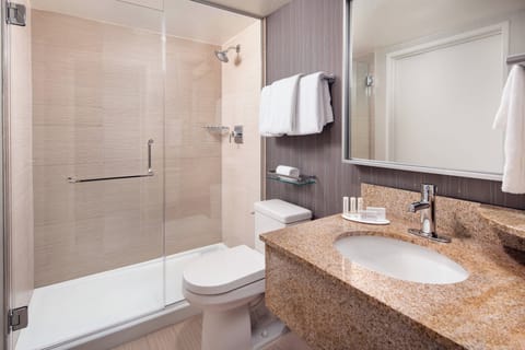 Free toiletries, hair dryer, towels, toilet paper