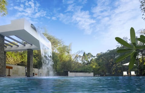 Outdoor pool, pool umbrellas, sun loungers