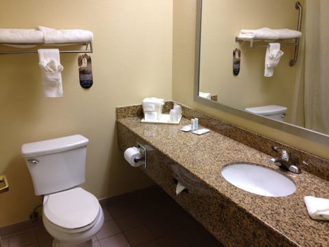 Combined shower/tub, free toiletries, hair dryer, towels