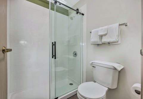 Combined shower/tub, free toiletries, hair dryer, towels