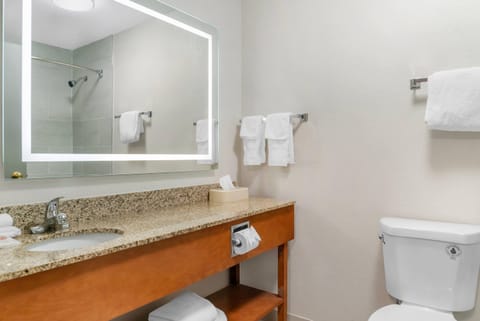 Iron/ironing board, free cribs/infant beds, free rollaway beds