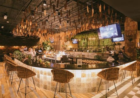 2 bars/lounges, poolside bar