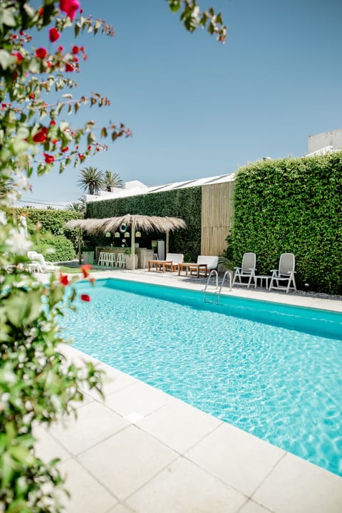 Seasonal outdoor pool, sun loungers