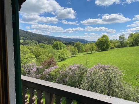 Doppelzimmer (im Nebengebäude) | Balcony view