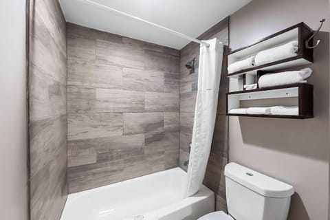 Combined shower/tub, free toiletries, hair dryer, towels