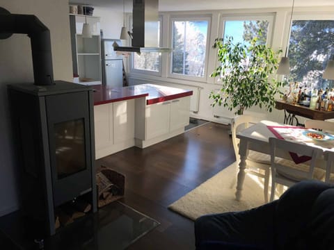 Apartment | Living area | TV, fireplace, DVD player