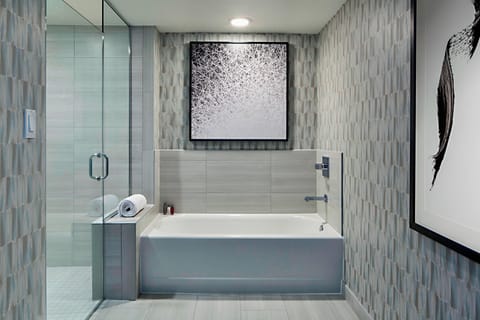 Combined shower/tub, free toiletries, hair dryer, towels