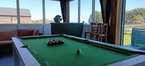 The pool table