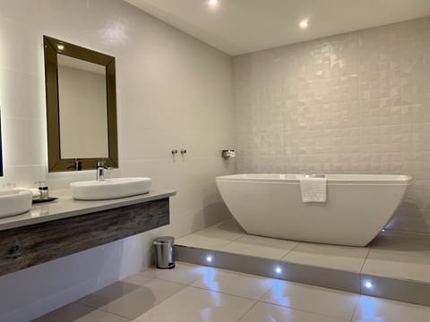 Deluxe Suite | Bathroom | Free toiletries, hair dryer, soap, shampoo