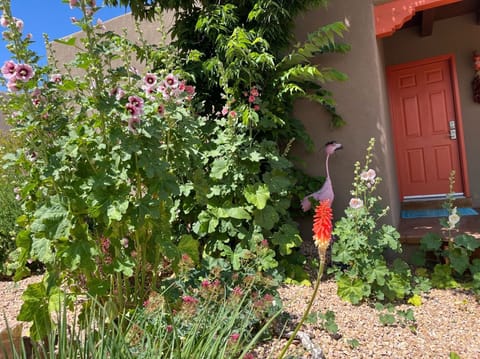 My fabulous summer garden