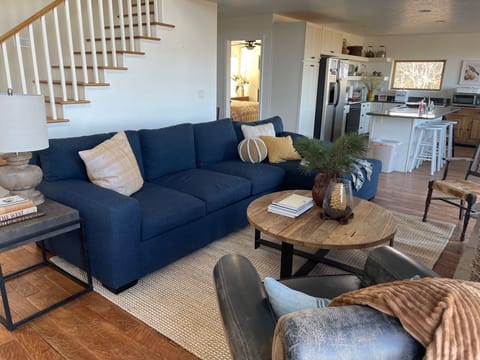 Main living area and kitchen. master bedroom behind the kitchen