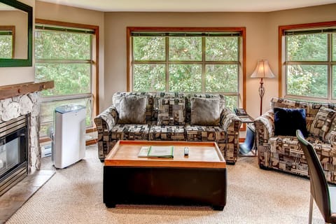 Living room with gas fireplace and sofabed