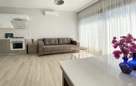 Apart 4 | Living area | Flat-screen TV
