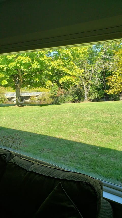 View out the big back window