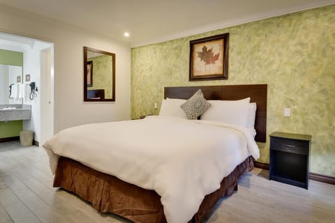 Standard Room, 1 King Bed, Non Smoking | Individually furnished, desk, laptop workspace, blackout drapes