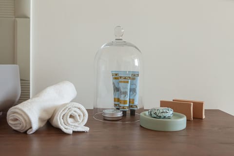 Shower, free toiletries, hair dryer, slippers