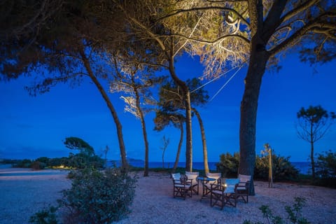 View to the sea under the pine trees