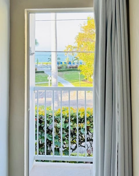 Peek-a-boo Ocean View