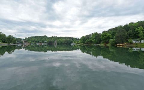 This is a vIew of the cove from the boat dock This is a no wake zone 