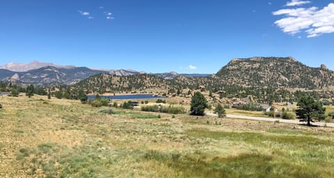 The View