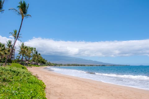 Paradise!
