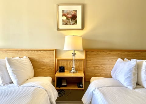 Deluxe Double Room | Desk, laptop workspace, WiFi (free), individually decorated